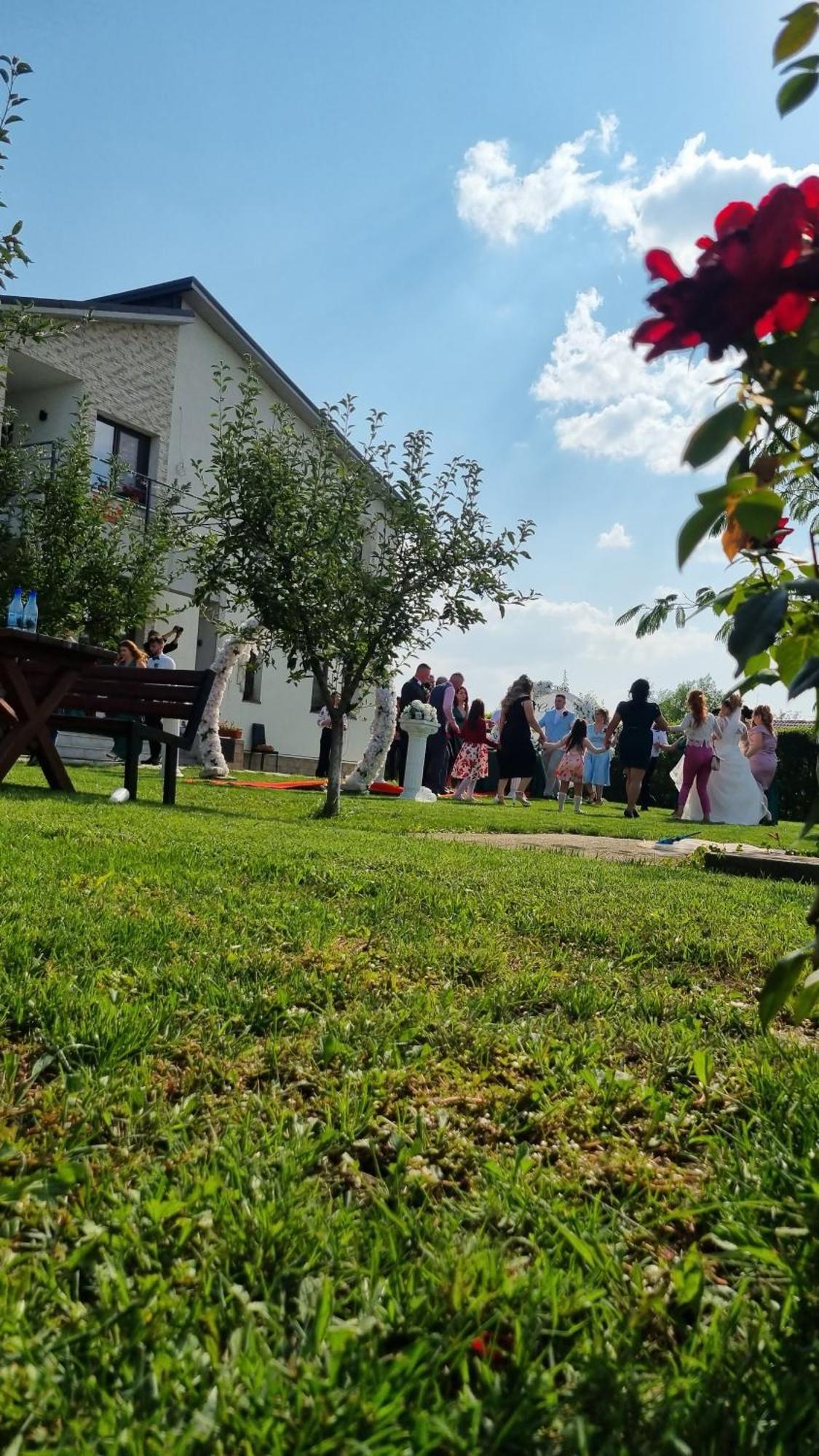 Pensiunea Diana Hotel Trestiana Exterior photo