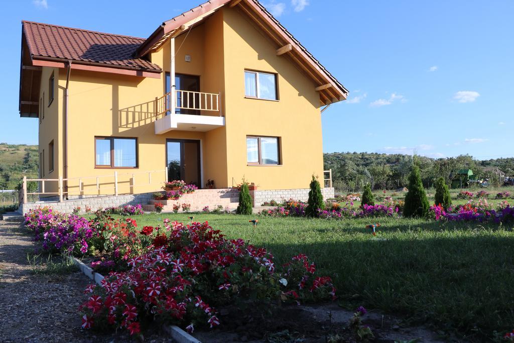 Pensiunea Diana Trestiana Exterior photo